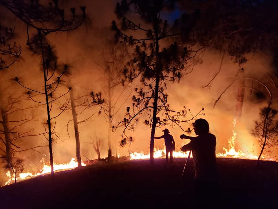 Combaten incendio forestal en Xocomanatlán; SPC reporta seis quemas en el estado