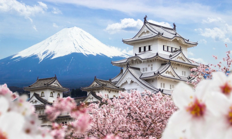 Cómo Japón busca revertir la tendencia a una mayor soledad en medio de la pandemia