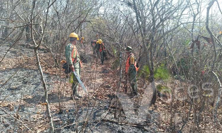 Exhorta el Congreso a la Semaren y a la Conafor a destinar más recursos para combatir incendios forestales