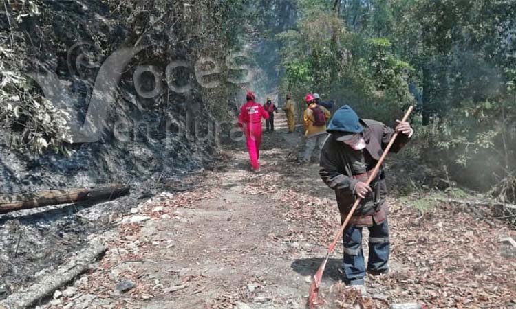 Controlado, el incendio forestal en Camotla y Filo de Caballos, informan autoridades