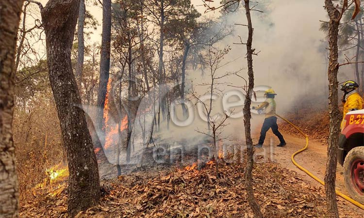 Incendio en El Calvario y Llanos de Tepoxtepec, controlado al 90%: SPC