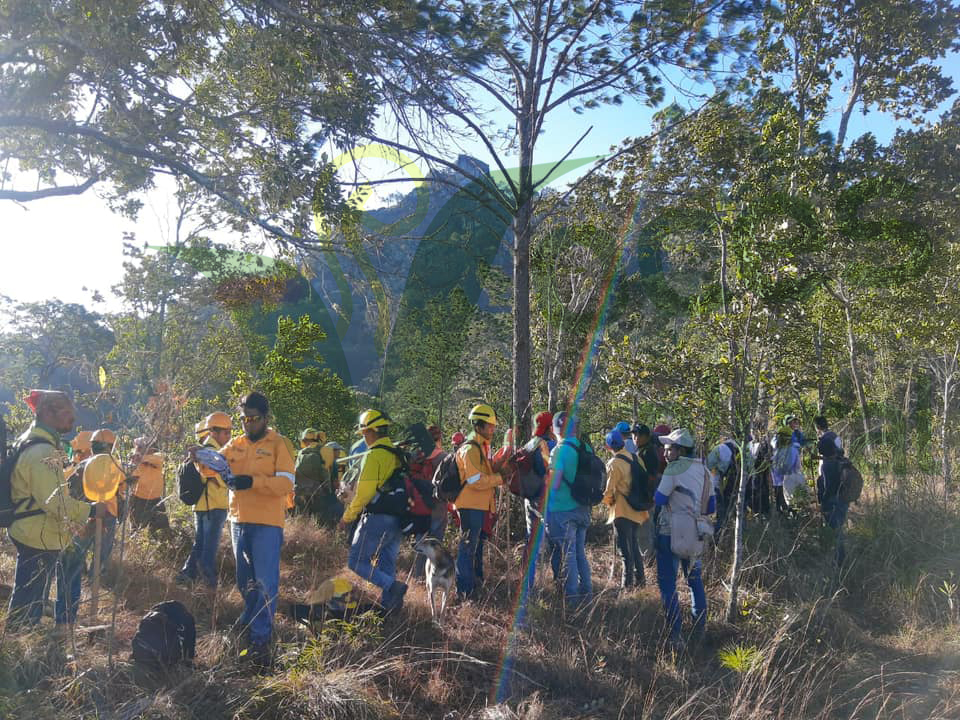 Se reanuda el combate contra el incendio en Cerro del Toro, municipio de Chilpancingo