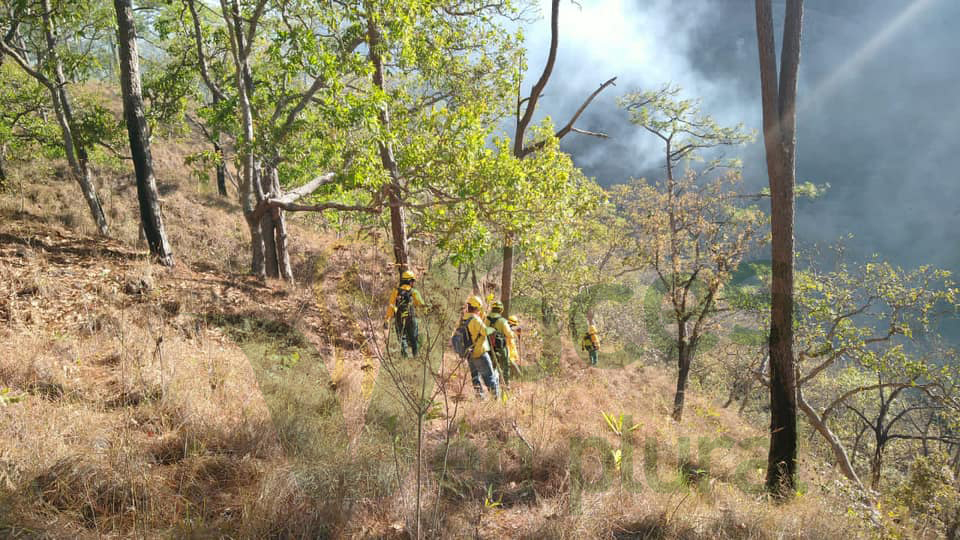 Semaren: siguen las labores de combate del incendio forestal en el Cerro del Toro, en el municipio de Chilpancingo