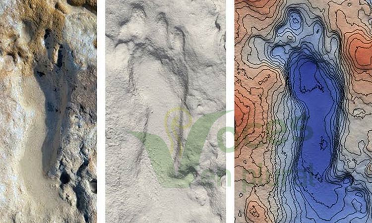 Investigadores descubren en España huellas de niños neandertales jugando en la arena