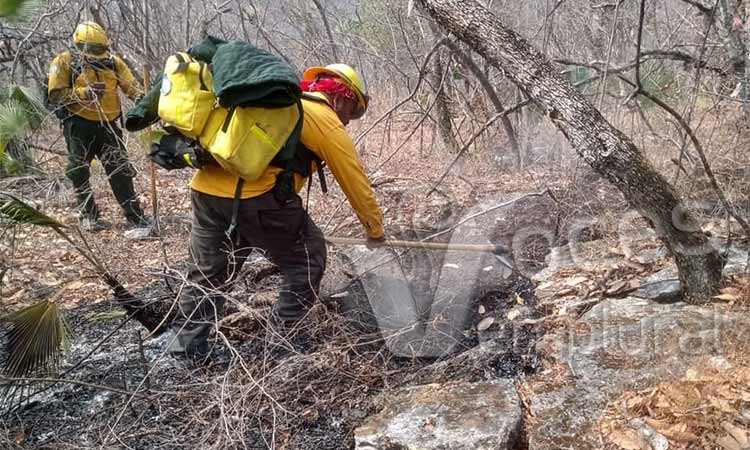 Se sancionará a quienes provoquen incendios forestales, advierte el ayuntamiento de Chilpancingo