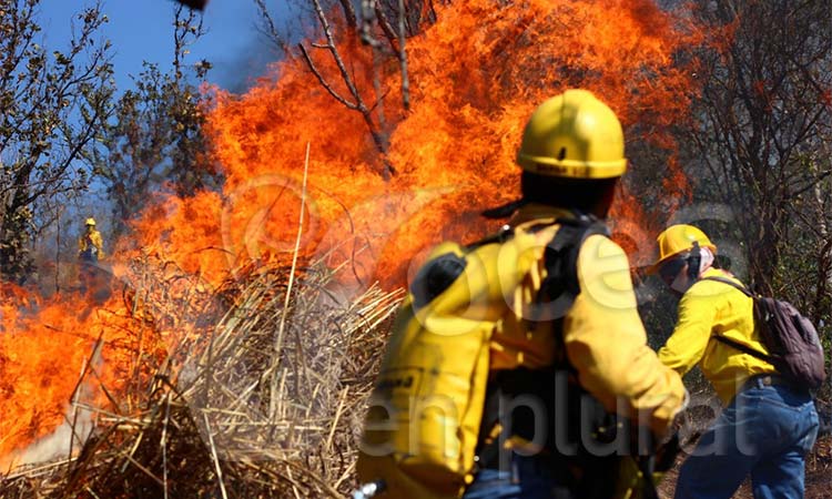 Agradece y reconoce Astudillo a los combatientes de incendios forestales