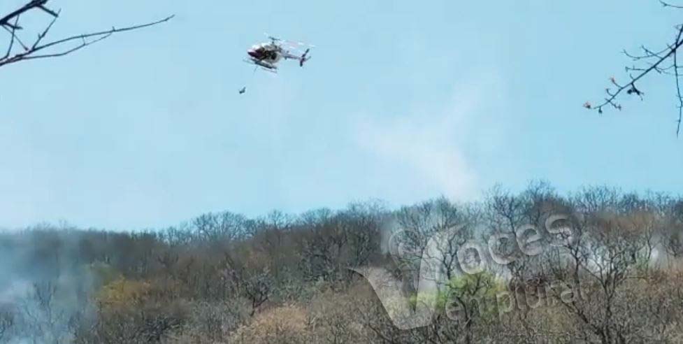 SPC: incendio entre los límites de Guerrero y Morelos afectó unas 350 hectáreas de bosque