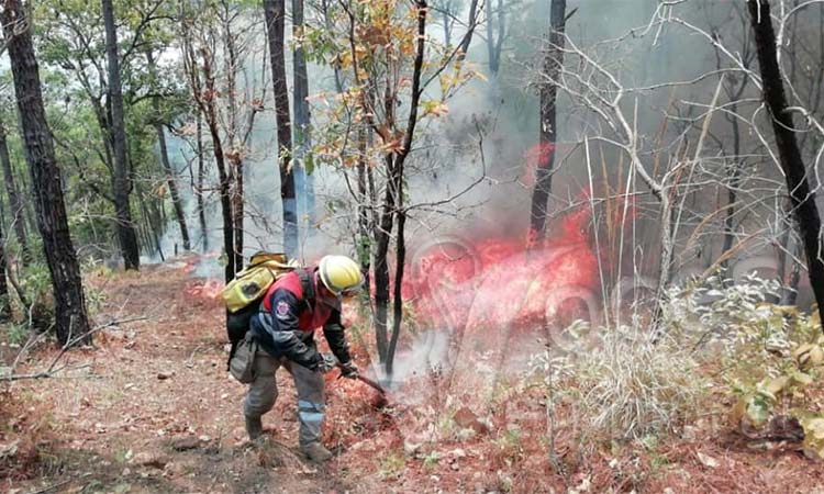 Controlado, el incendio forestal en La Haciendita, que comenzó el lunes