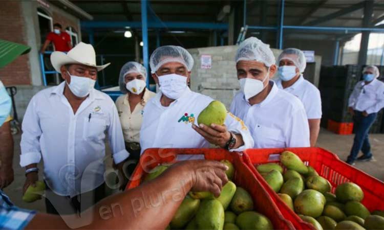 Ofrece Mario Moreno internacionalizar producción frutícola de Costa Grande