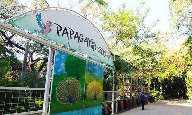 Piden intervención del presidente López Obrador por pagos pendientes de remodelación del parque Papagayo