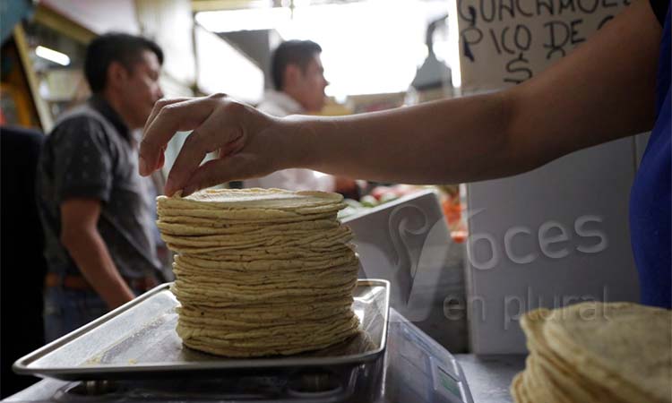 Aumentan precio de la tortilla en el Día de la Madre; Segalmex se negó a venderles maíz: industriales