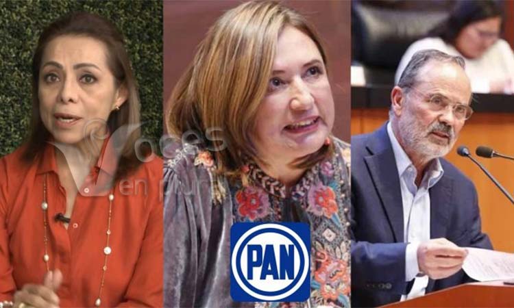 Senadores del PAN denuncian a Félix Salgado ante FGR por amenazar a consejeros del INE