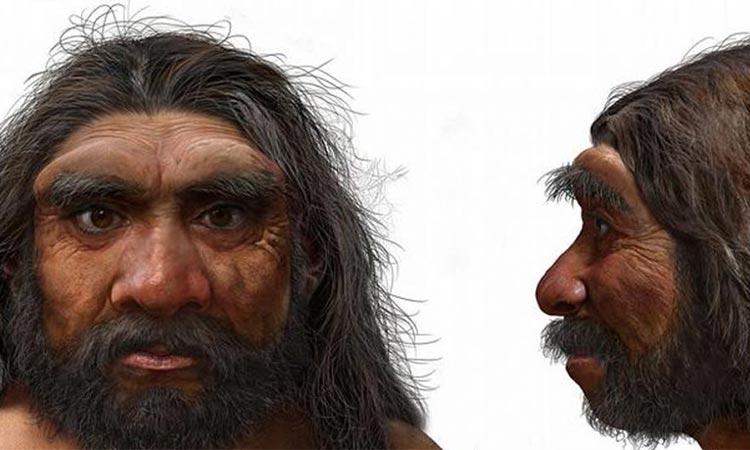 Homo longi, el Hombre Dragón, nueva especie humana más cercana al Homo sapiens