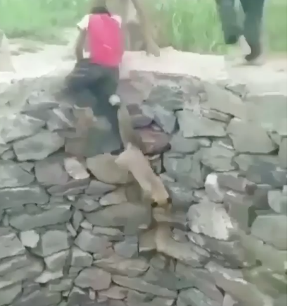 Este es el verdadero animalismo: un niño rescatando a un zorro de un profundo pozo