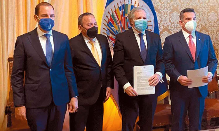 Piden a OEA intervención ante el uso faccioso de la justicia